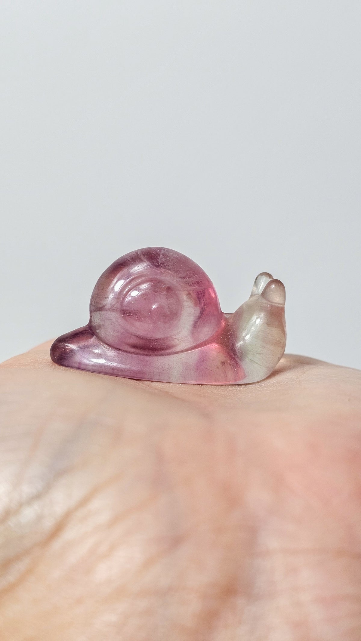 Mini Fluorite Snail Carving