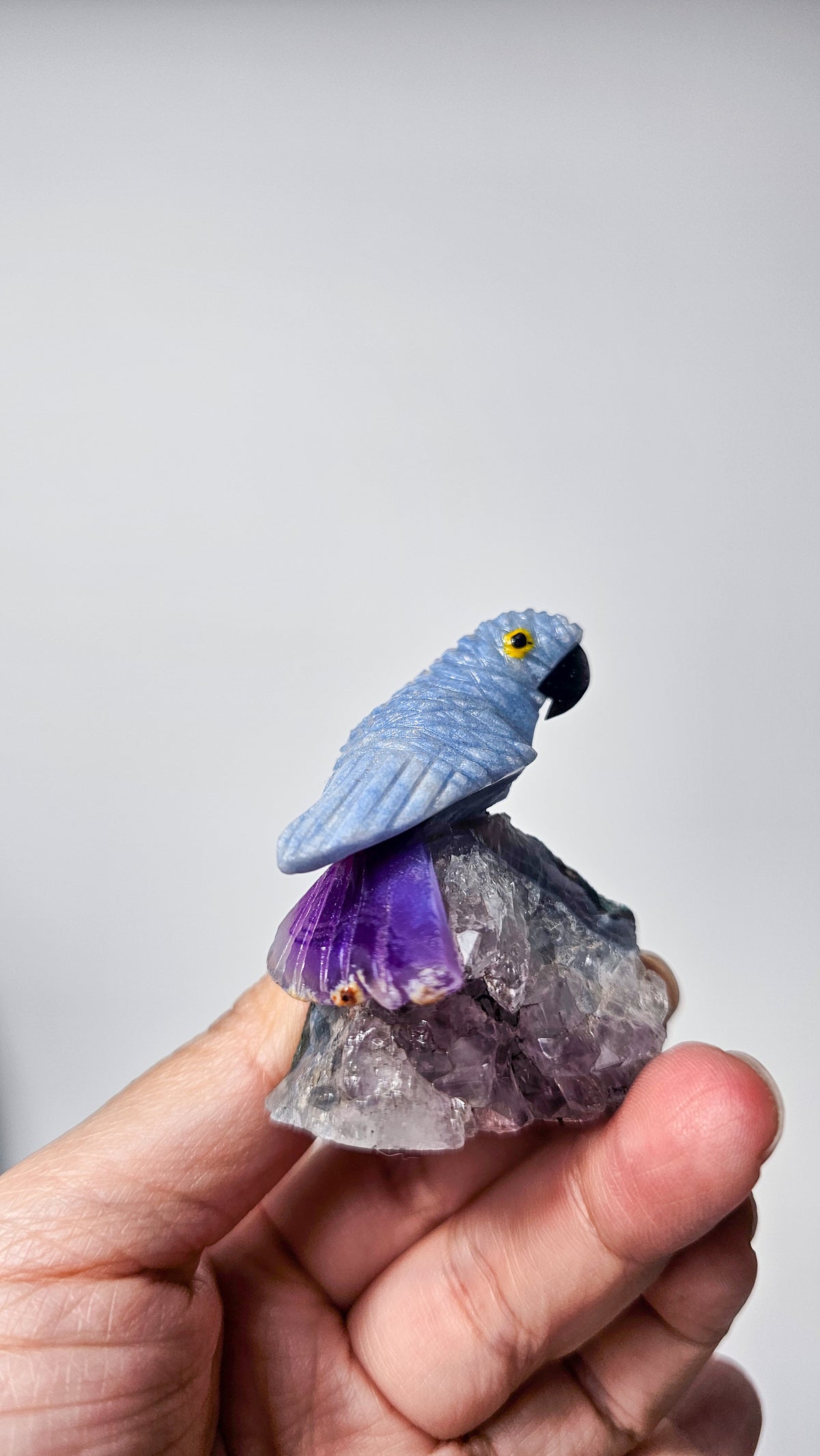 Brazilian Crystal Bird Carving on Amethyst
